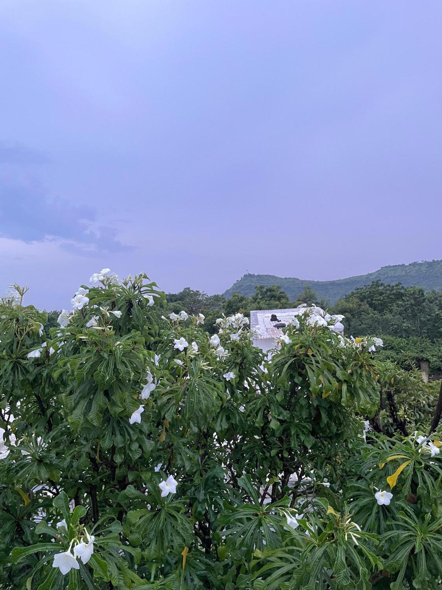 Private & Elegant 3Bhk Villa, Hillside Hideaway, 10 Mins From Mh Bus Stand Aurangābād Exterior foto